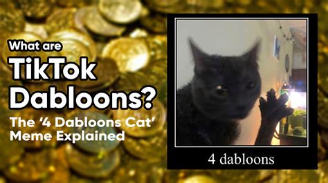 dabloons meme|doubloons cat tiktok.